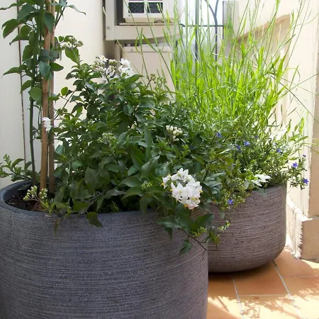 Lovely, Quiet 1 Bedroom With A Balcony 公寓